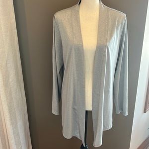 Silver Chicos cover up